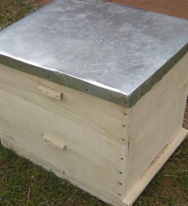 Langstroth beehive